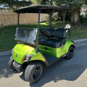 2021 Yamaha Gas Golf Buggy