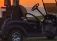 Golf Carts For Sale 